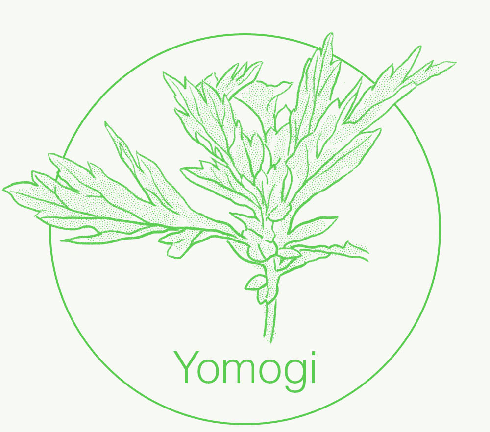 Yomogi illustration